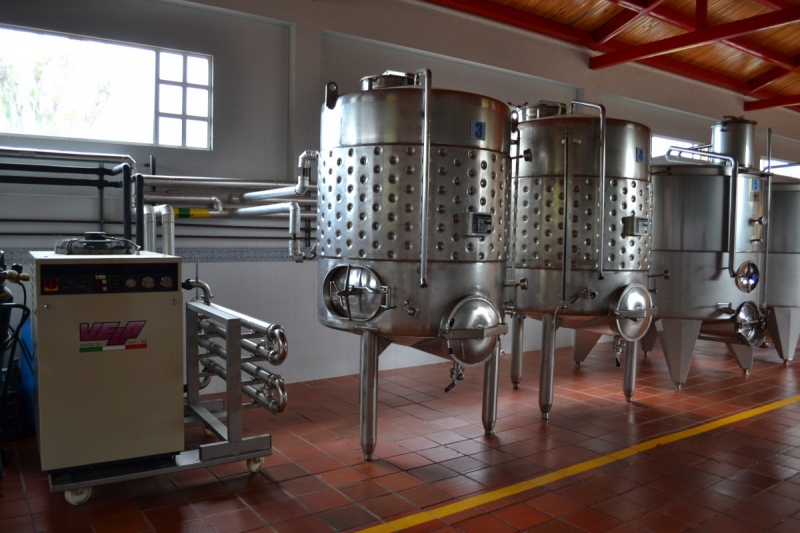 cave-LES ARCS-min_wine_production_cantine_winery_drink_alcohol_vine_beverage-902036